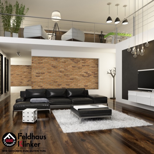 Кирпич клинкерный пустотелый Feldhaus Klinker K665 sintra sabioso binaro рельефный, 215*102*65 мм
